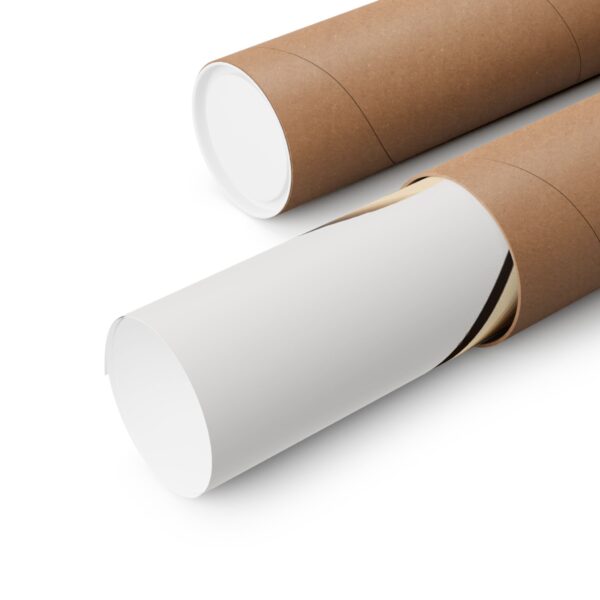 11207989922067158303_2048.jpeg 11207989922067158303_2048.jpeg