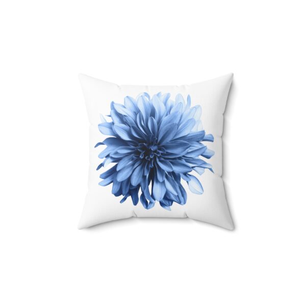 8853465266662450767_2048.jpeg 8853465266662450767_2048.jpeg